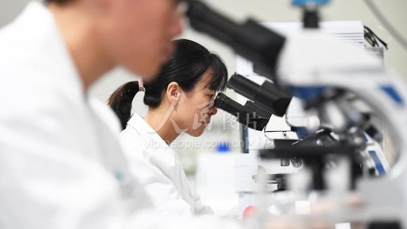 肿瘤细胞培养：常用细胞系的选用与考量**