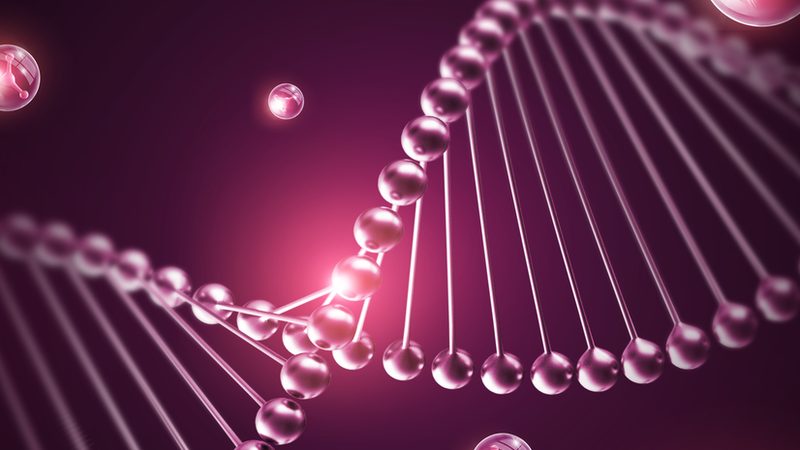 细胞培养实验方案设计的五大关键要素**