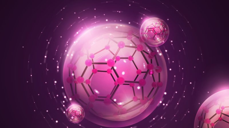 引物合成的周期与关键因素