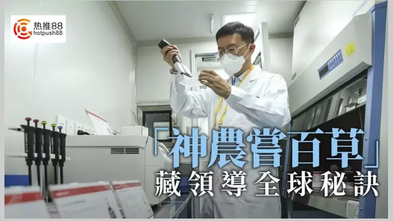 鼠抗人单克隆抗体纯度规格，揭秘其背后的关键指标**