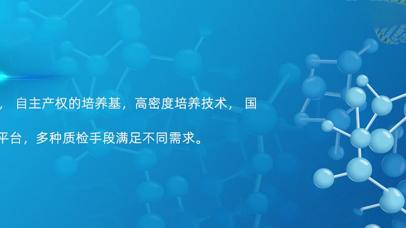 离心管安装，细节决定成败**