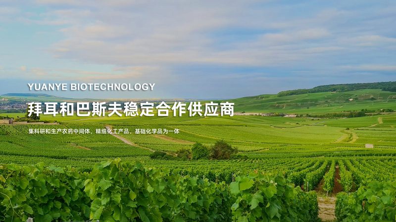高通量基因测序仪，功率参数背后的技术考量**