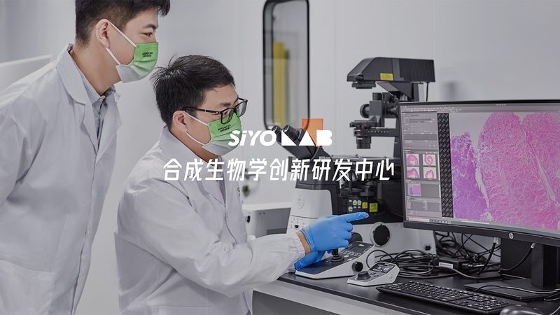 离心管定制：揭秘实验室中不可或缺的“隐形英雄