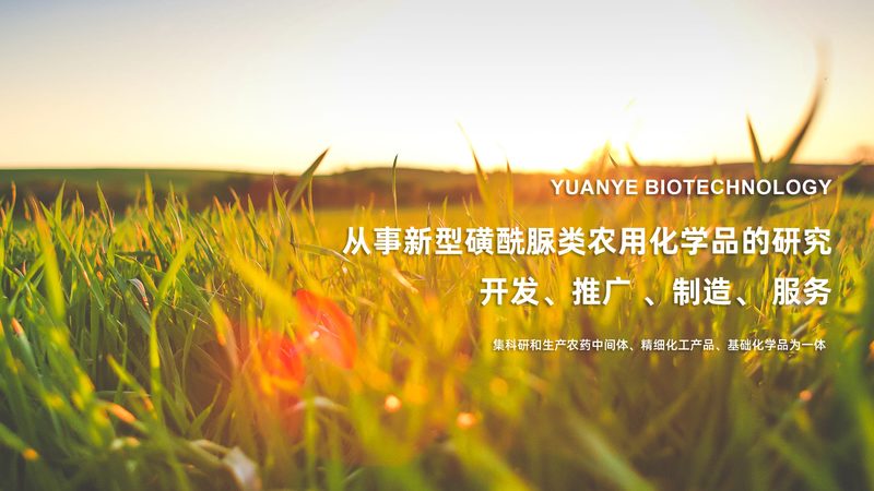 工业蛋白酶：揭秘其背后的技术与应用**