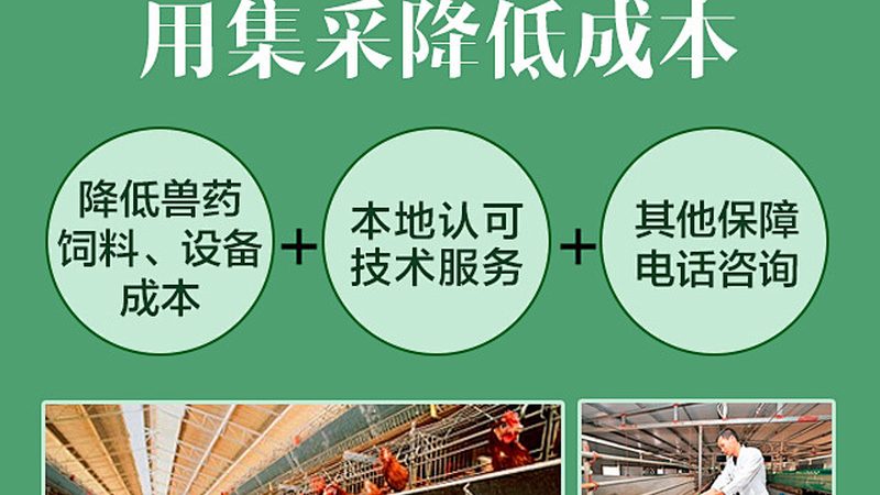 细胞培养基定制与现货：如何选择更合适的产品？**