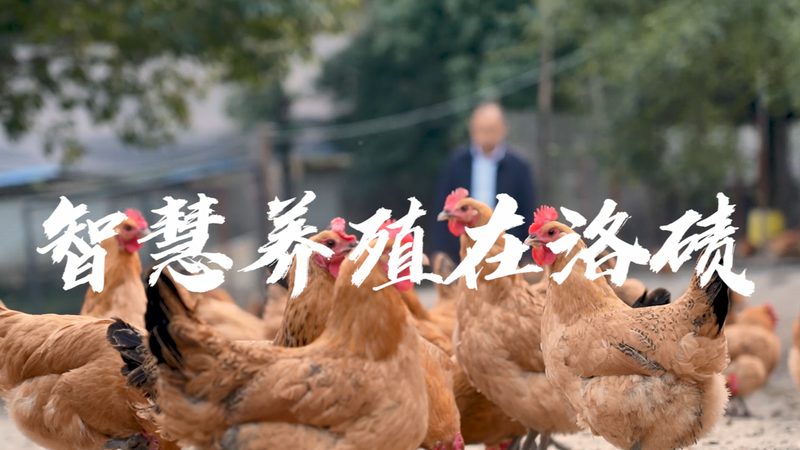 儿童消化不良，酶制剂如何选择？**