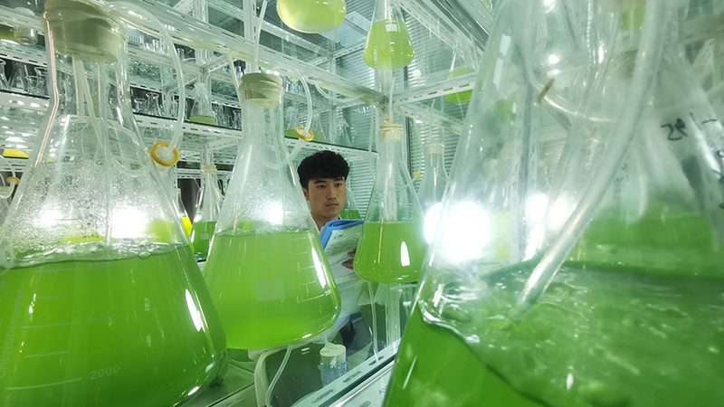 在选择合作伙伴时，要验证其资质，确保其符合国家相关法规要求。以下是一些关键资质：